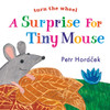 A Surprise for Tiny Mouse:  - ISBN: 9780763679675