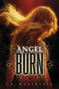 Angel Burn:  - ISBN: 9780763656522