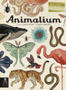 Animalium: Welcome to the Museum - ISBN: 9780763675080