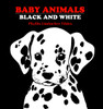 Baby Animals Black and White:  - ISBN: 9780881063134