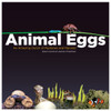 Animal Eggs: An Amazing Clutch of Mysteries and Marvels - ISBN: 9780983201496