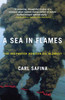 A Sea in Flames: The Deepwater Horizon Oil Blowout - ISBN: 9780307887368