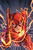 The Flash By Francis Manapul and Brian Buccellato Omnibus - ISBN: 9781401261030