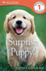DK Readers L1: Surprise Puppy:  - ISBN: 9780756692957