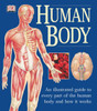 The Human Body:  - ISBN: 9780789479884