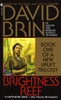 Brightness Reef:  - ISBN: 9780553573305