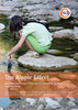 The Ripple Effect: The nature and impact of the children and young people's voluntary sector - ISBN: 9781907969430