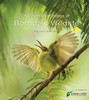 A Visual Celebration of Borneo's Wildlife: [All Royalties Donated to Fauna & Flora International] - ISBN: 9780794607876