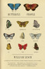 Butterfly People: An American Encounter with the Beauty of the World - ISBN: 9781400076925