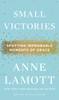 Small Victories: Spotting Improbable Moments of Grace - ISBN: 9781594486296