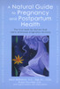 A Natural Guide to Pregnancy and Postpartum Health: The First Book by Doctors That Really Addresses Pregnancy Recovery - ISBN: 9781583331385