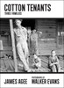 Cotton Tenants: Three Families - ISBN: 9781612193984