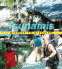 Witness to Disaster: Tsunamis:  - ISBN: 9780792253808