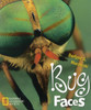 Bug Faces:  - ISBN: 9780792275572