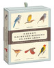 Sibley Backyard Birding Flashcards: 100 Common Birds of Eastern and Western North America - ISBN: 9780307888976