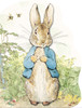 Peter Rabbit Large Shaped Board Book:  - ISBN: 9780723259565