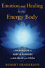 Emotion and Healing in the Energy Body: A Handbook of Subtle Energies in Massage and Yoga - ISBN: 9781620554272