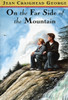 On the Far Side of the Mountain:  - ISBN: 9780525463481