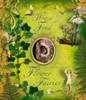 How to Find Flower Fairies:  - ISBN: 9780723258902