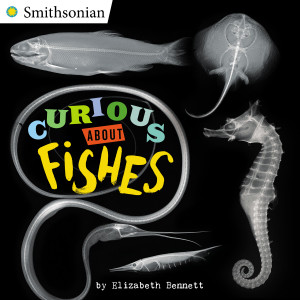 Curious About Fishes:  - ISBN: 9780448484624