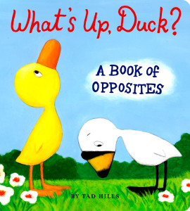 What's Up, Duck?: A Book of Opposites - ISBN: 9780375847387
