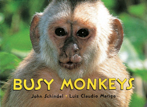 Busy Monkeys:  - ISBN: 9781582460826