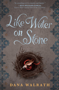 Like Water on Stone:  - ISBN: 9780375991424