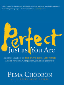 Perfect Just as You Are: Buddhist Practices on the Four Limitless Ones--Loving-Kindness, Compassion, Joy, and Equanimity - ISBN: 9781590306284