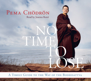 No Time to Lose: A Timely Guide to the Way of the Bodhisattva - ISBN: 9781611800357