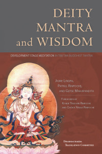 Deity, Mantra, and Wisdom: Development Stage Meditation in Tibetan Buddhist Tantra - ISBN: 9781559393003