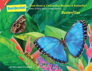 How Does a Caterpillar Become a Butterfly?: And Other Questions about Butterflies - ISBN: 9781454906667