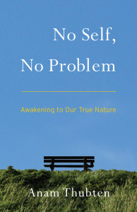 No Self, No Problem: Awakening to Our True Nature - ISBN: 9781559394048
