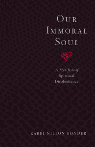 Our Immoral Soul: A Manifesto of Spiritual Disobedience - ISBN: 9781570629242