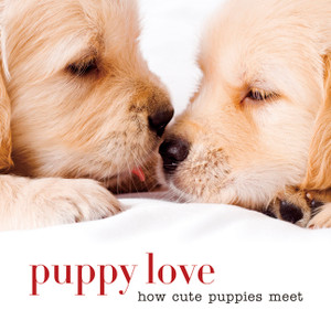 Puppy Love: How Cute Puppies Meet - ISBN: 9781454911333