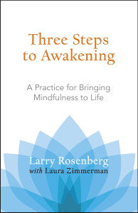 Three Steps to Awakening: A Practice for Bringing Mindfulness to Life - ISBN: 9781590305164