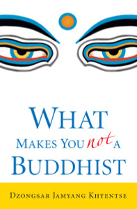 What Makes You Not a Buddhist:  - ISBN: 9781590305706