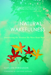 Natural Wakefulness: Discovering the Wisdom We Were Born With - ISBN: 9781590307694