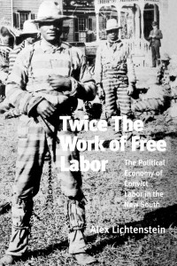 Twice the Work of Free Labor: The Political Economy of Convict Labor in the New South - ISBN: 9781859840863