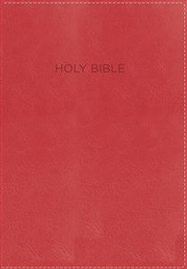 NKJV, Foundation Study Bible, Imitation Leather, Red, Red Letter Edition - ISBN: 9780718037154