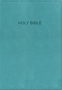 KJV, The Foundation Study Bible, Imitation Leather, Turquoise, Red Letter Edition - ISBN: 9780718037420