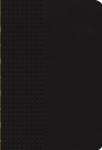 NKJV, End-of-Verse Reference Bible, Giant Print, Personal Size, Imitation Leather, Black, Red Letter Edition - ISBN: 9780718013974