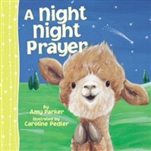 A Night Night Prayer - ISBN: 9781400324316