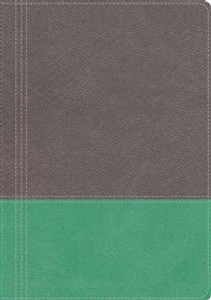 NKJV, The Modern Life Study Bible, Imitation Leather, Gray/Green, Indexed - ISBN: 9781401679651