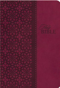 KJV Study Bible, Imitation Leather, Red/Pink, Indexed, Red Letter Edition - ISBN: 9781401680336