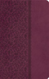 KJV, UltraSlim Bible, Compact, Imitation Leather, Purple - ISBN: 9781401674663