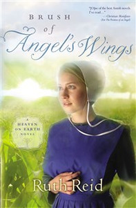 Brush of Angel's Wings - ISBN: 9781595547897