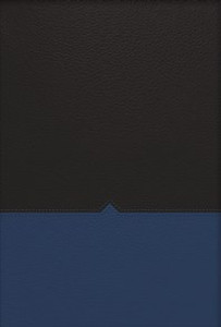 NKJV, The Charles F. Stanley Life Principles Bible, Imitation Leather, Blue/Black - ISBN: 9781418548063