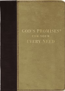 God's Promises for Your Every Need, Deluxe Edition - ISBN: 9781404187085