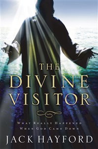 Divine Visitor - ISBN: 9780849918957