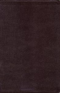 NKJV, Reference Bible, Giant Print, Bonded Leather, Burgundy, Red Letter Edition - ISBN: 9780718015824